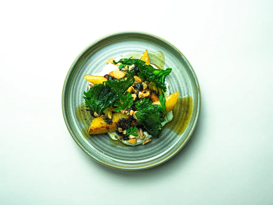 Test Image 1
